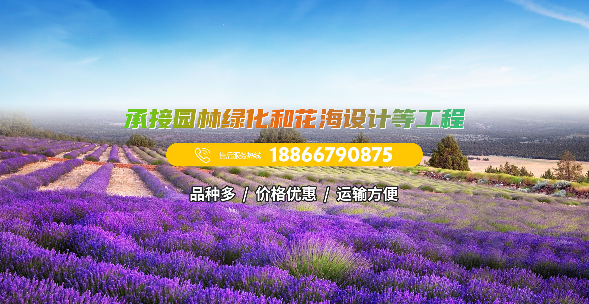 青州市騰頭花卉苗木有限公司banner